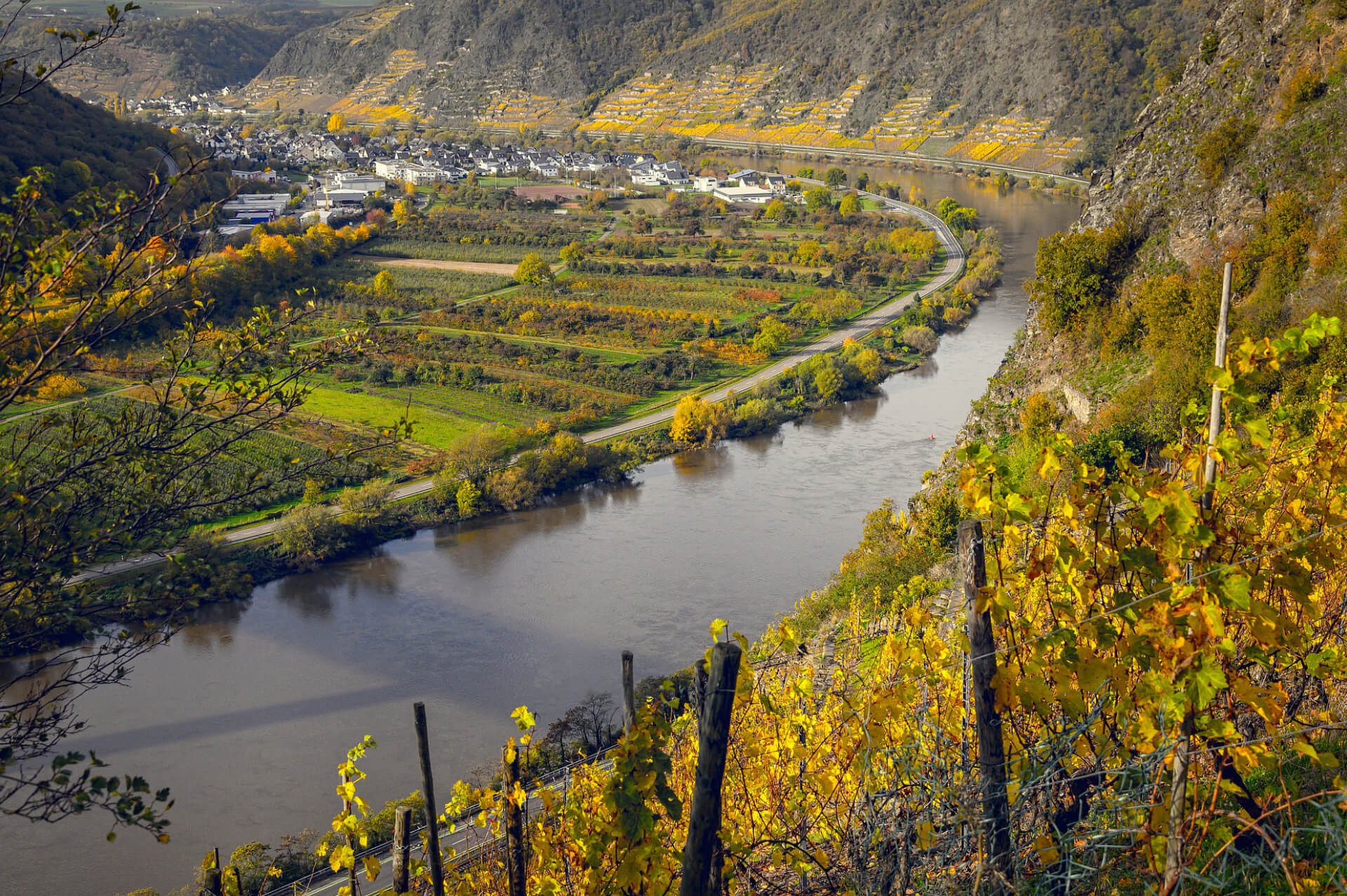 A-la-une-Riesling