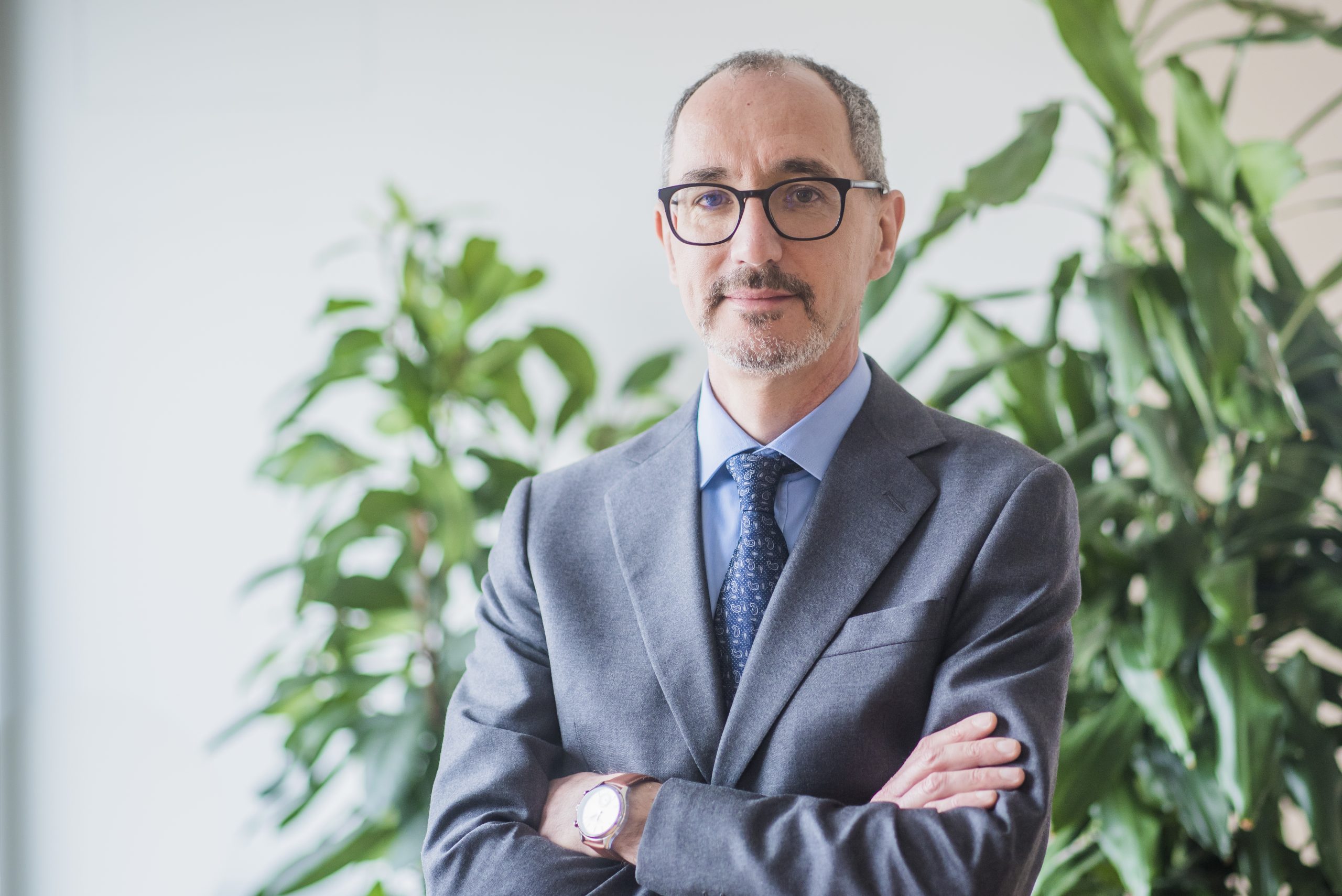 PAOLO FALCIONI DG APPLiA